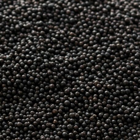 Black  Nonpareils